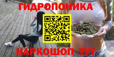 apvp Будённовск