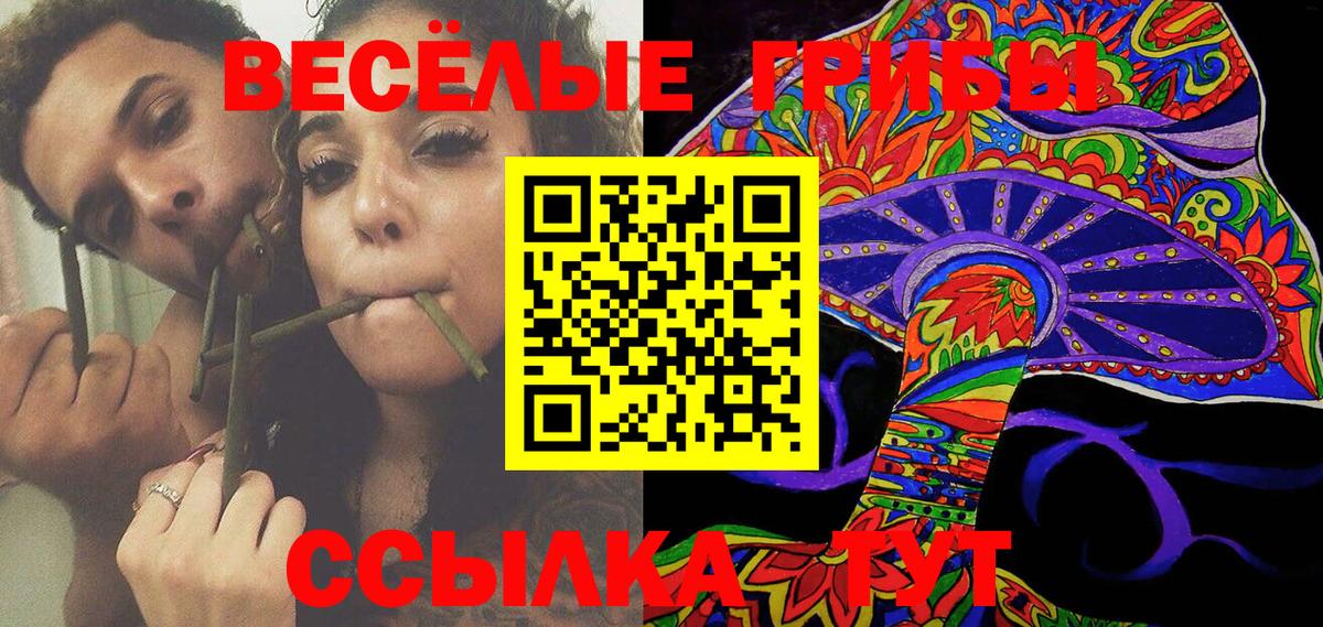 Псилоцибиновые грибы Psilocybine cubensis Липецк
